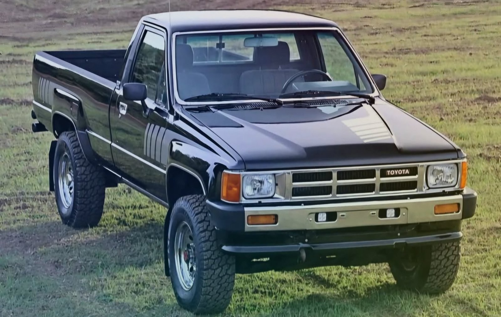 Truck buyers in Miami
